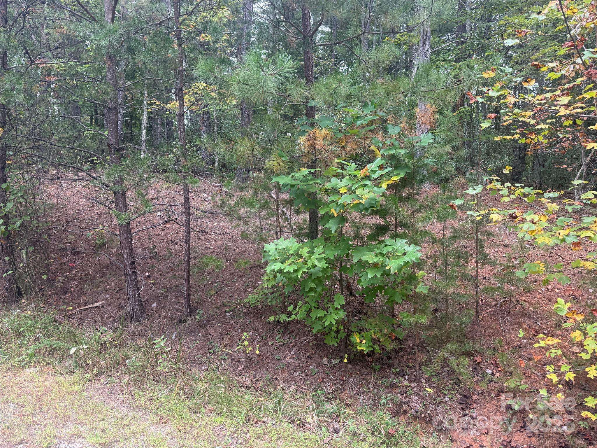 9587 Shortoff View TER #57, Nebo, NC 28761