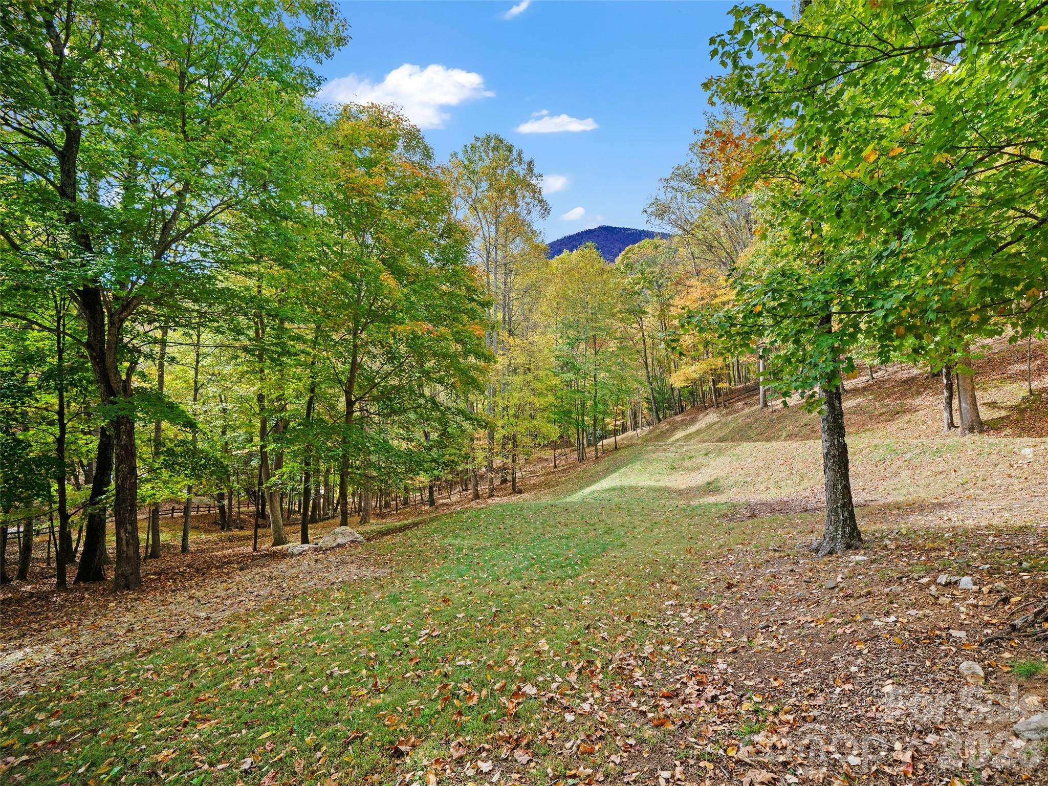 42 Hickory Springs RD #42, Burnsville, NC 28714