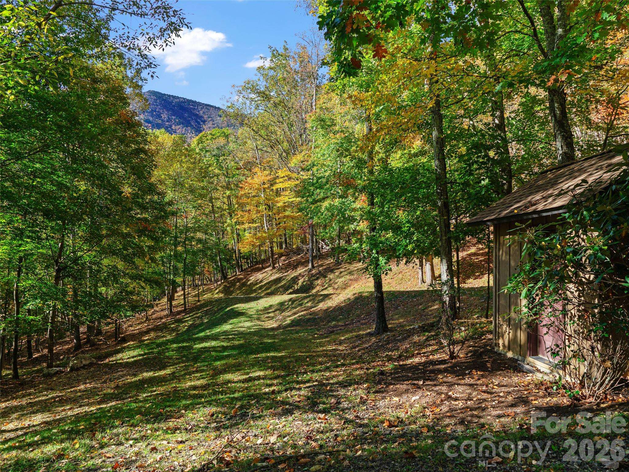42 Hickory Springs RD #42, Burnsville, NC 28714