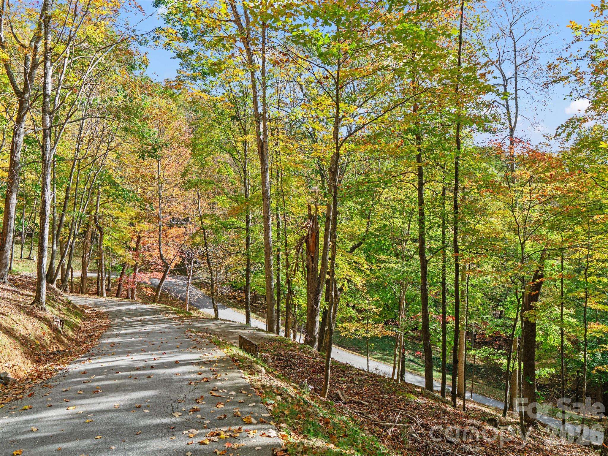 42 Hickory Springs RD #42, Burnsville, NC 28714