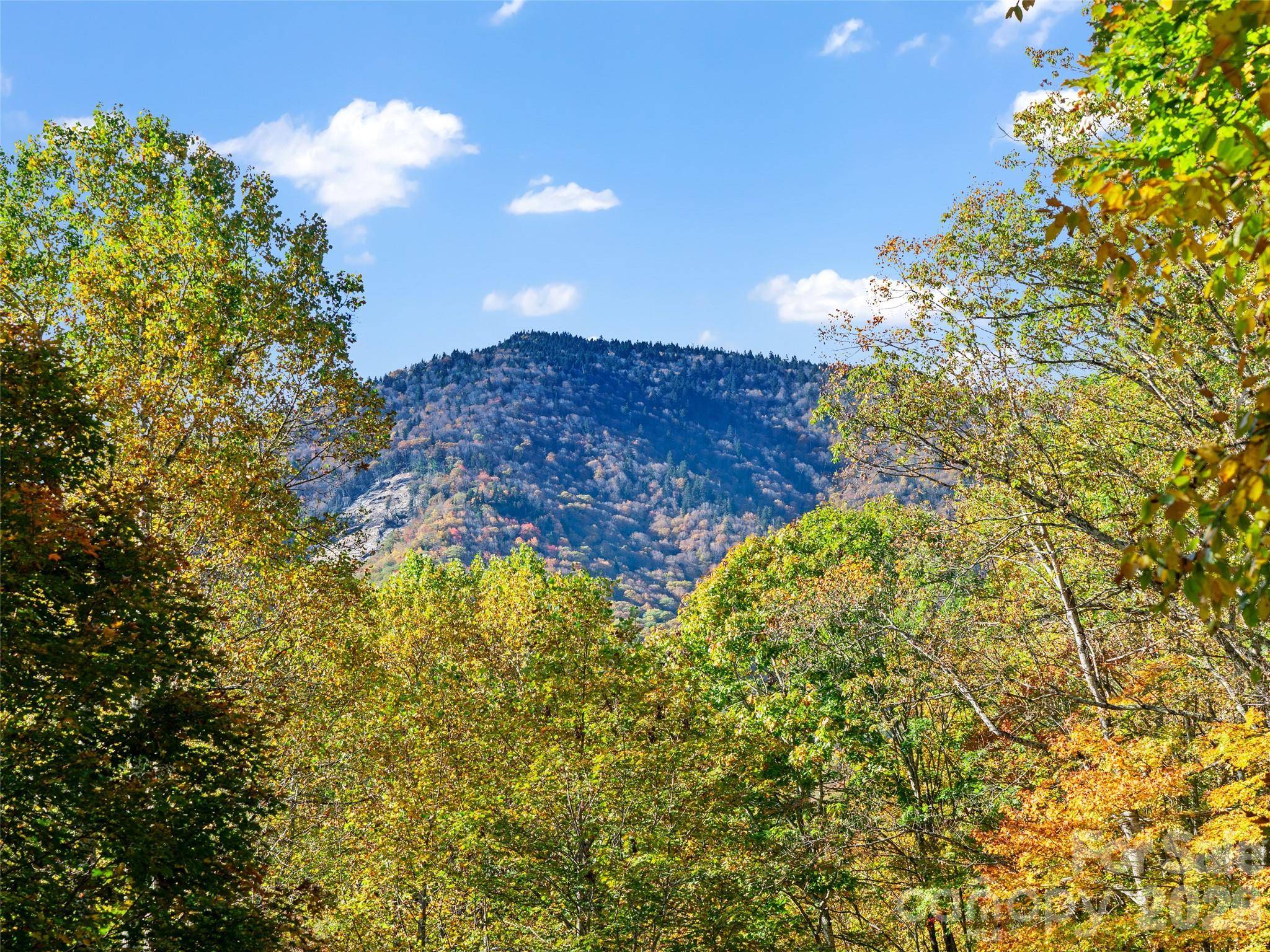 42 Hickory Springs RD #42, Burnsville, NC 28714