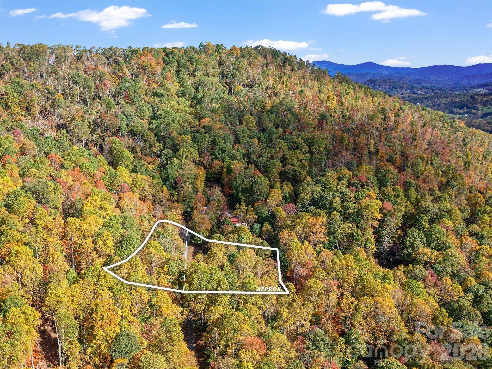 42 Hickory Springs RD #42, Burnsville, NC 28714
