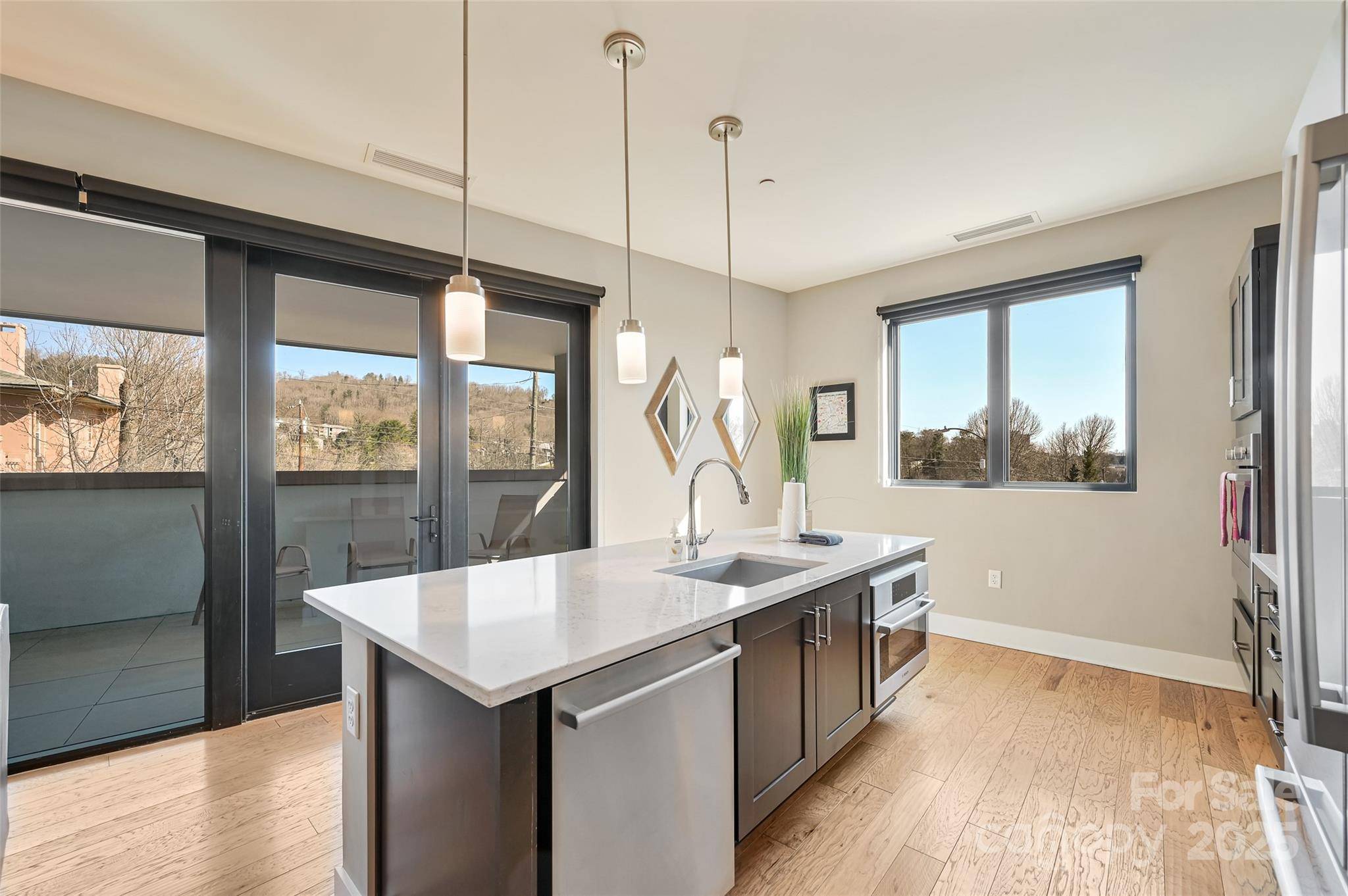 145 Biltmore AVE #205, Asheville, NC 28801
