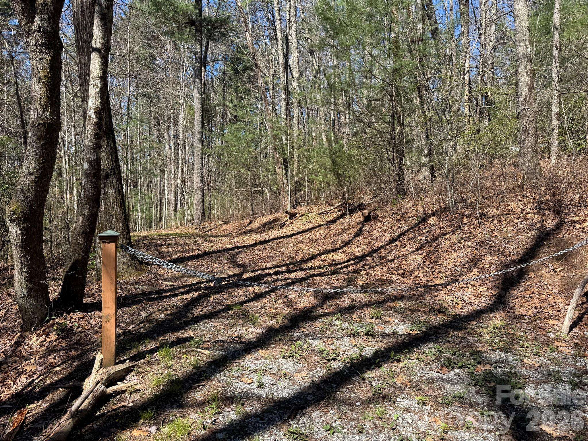 1 Bear Log RD, Cashiers, NC 28717
