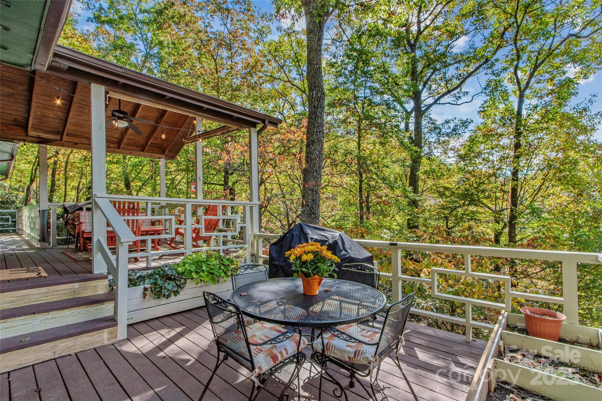 354 Big Ridge RD, Burnsville, NC 28714