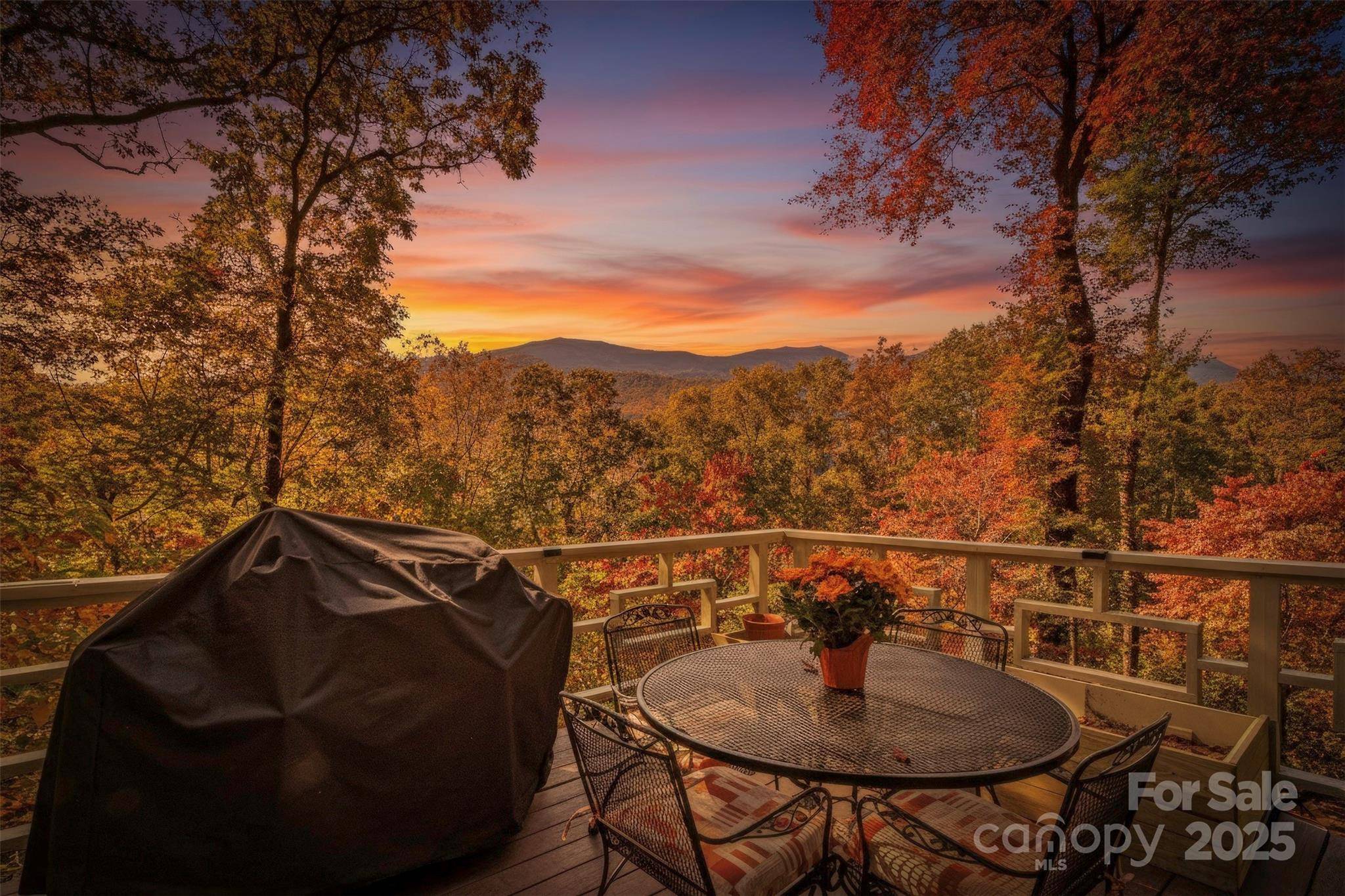 354 Big Ridge RD, Burnsville, NC 28714
