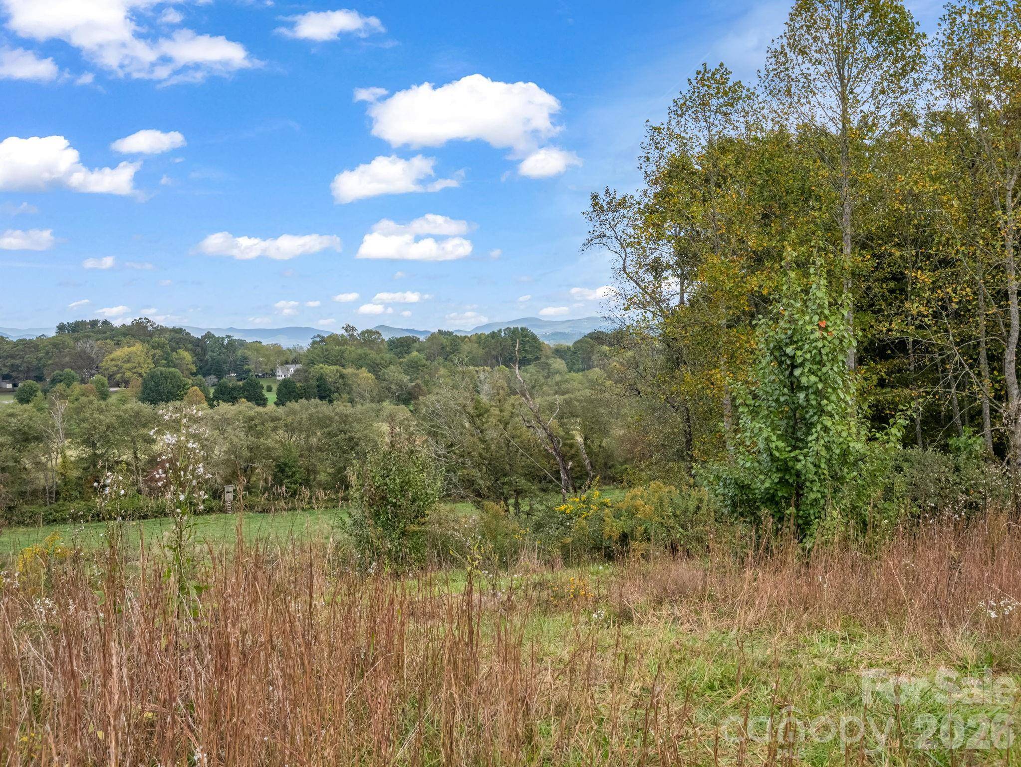 128 Cook LN, Mills River, NC 28759