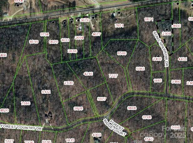 Lot 13 Song Sparrow DR #13, Marion, NC 28752
