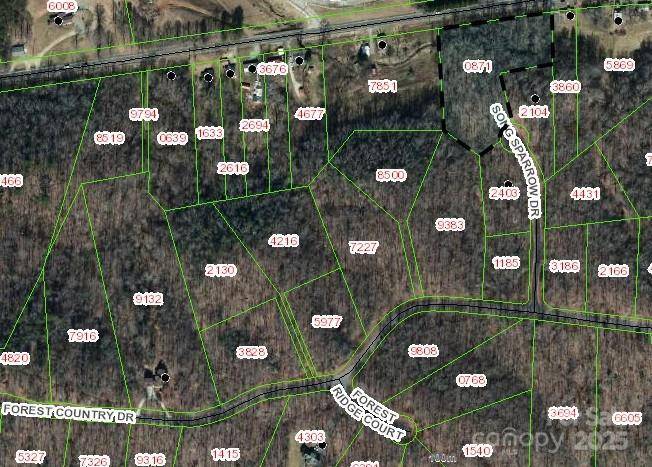 Lot 14 Song Sparrow DR #14, Marion, NC 28752