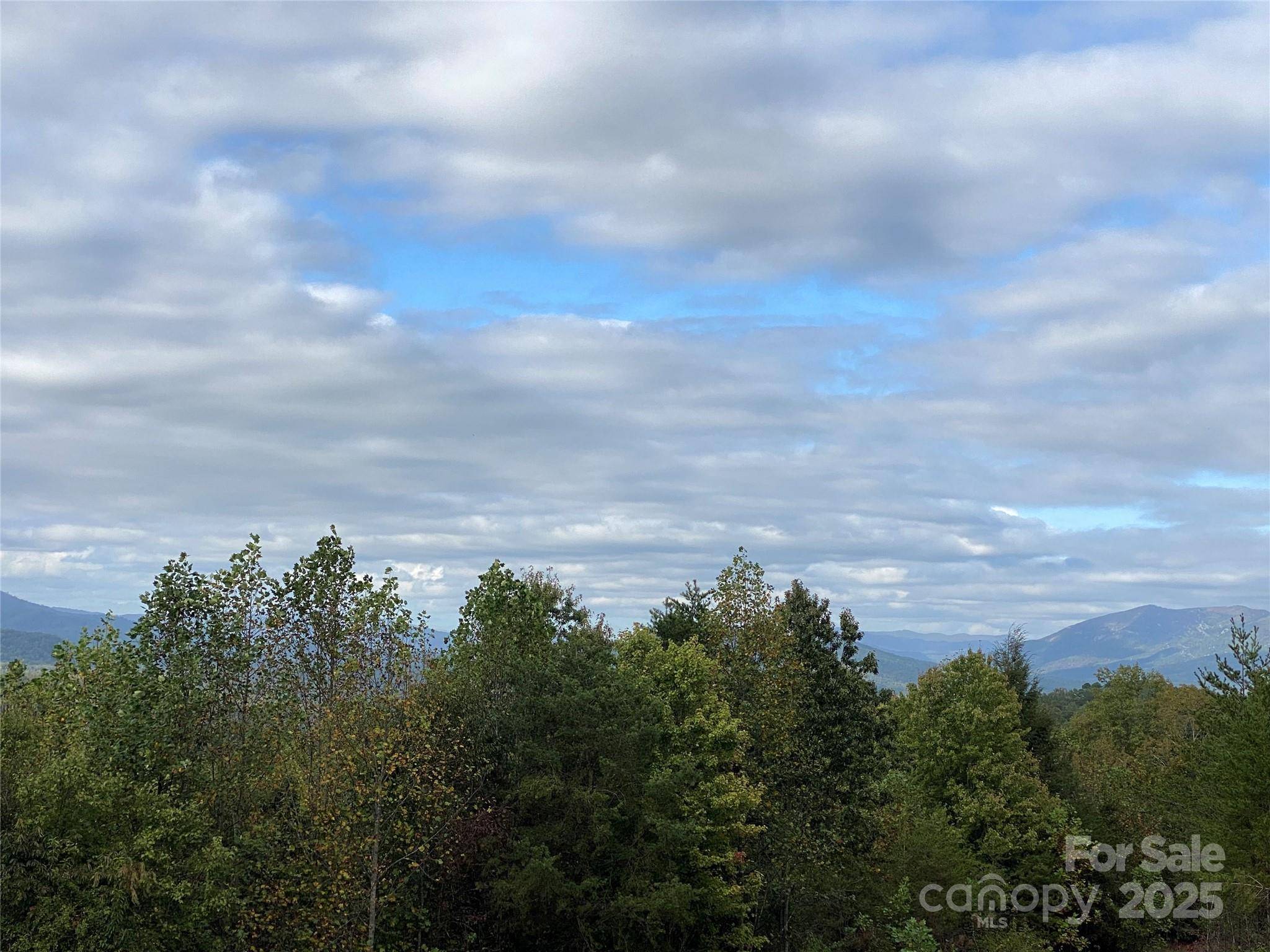 860 Redwood DR, Marion, NC 28752
