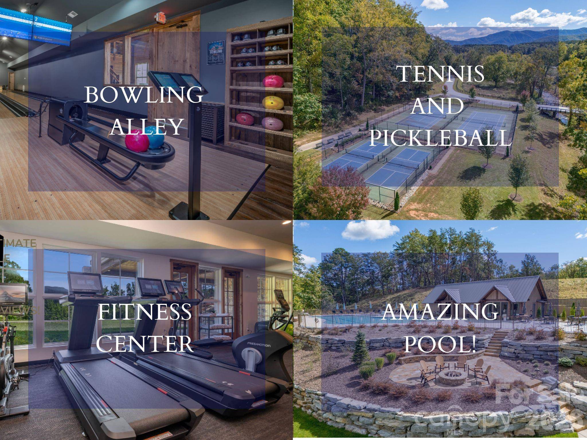 000 Nottingham DR #237, Mill Spring, NC 28756