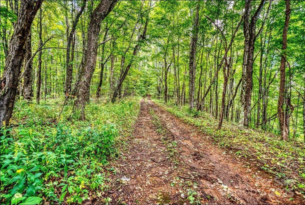 0 Cow Camp RD, Newland, NC 28657