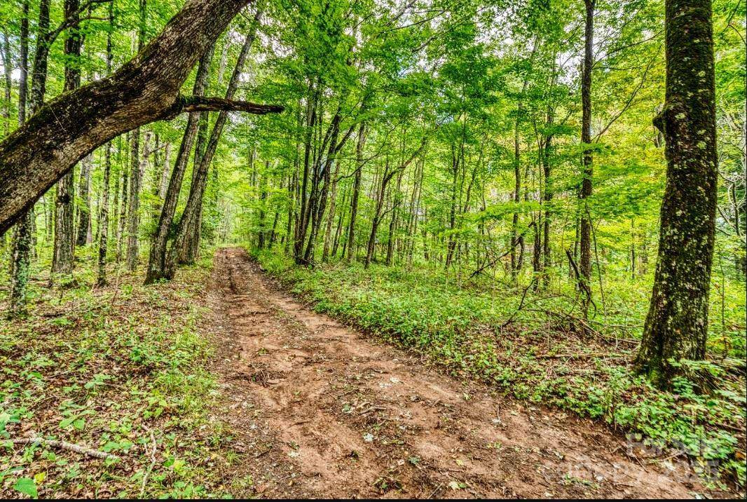 0 Cow Camp RD, Newland, NC 28657