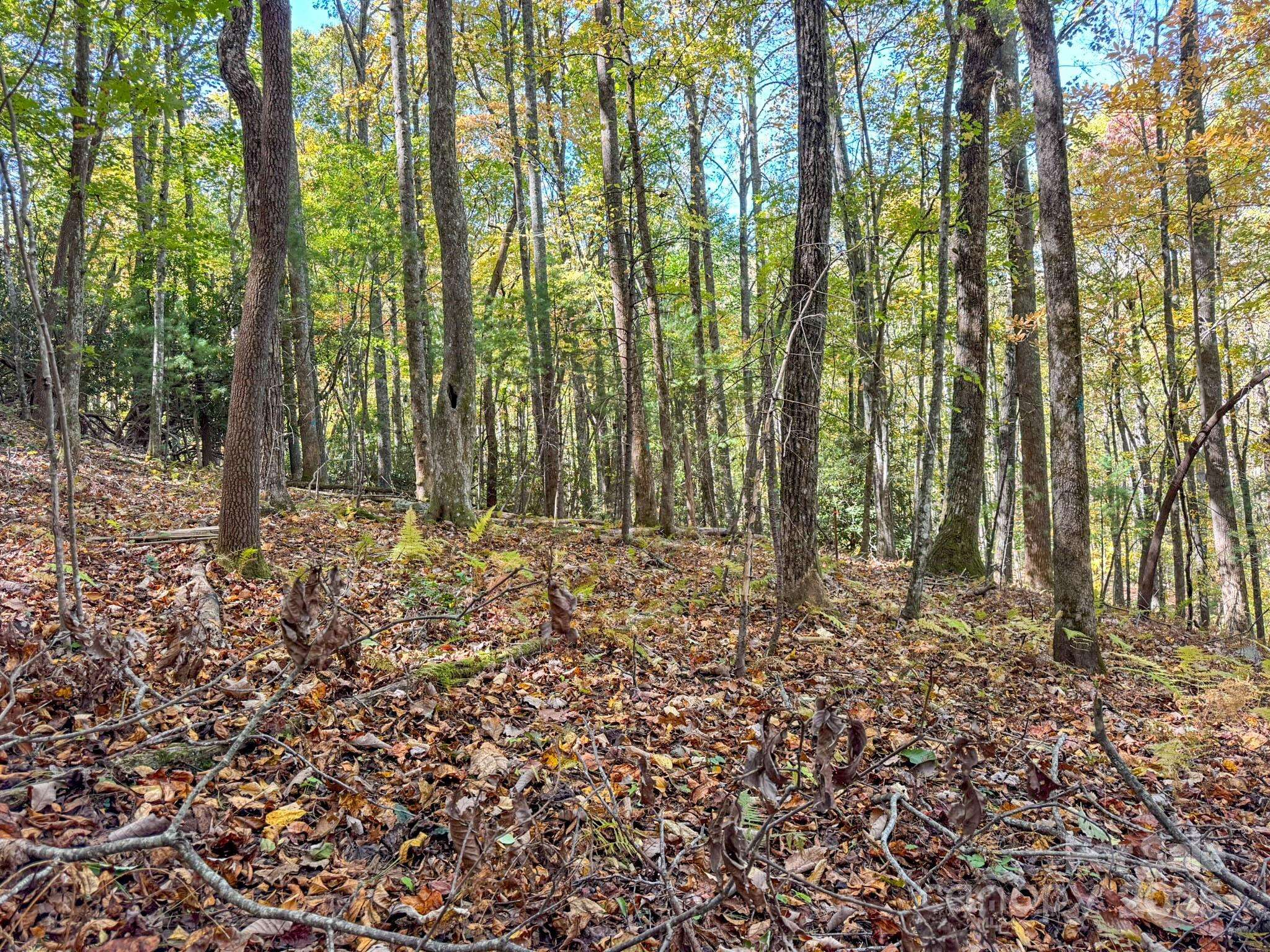 345 Christa LN, Arden, NC 28704