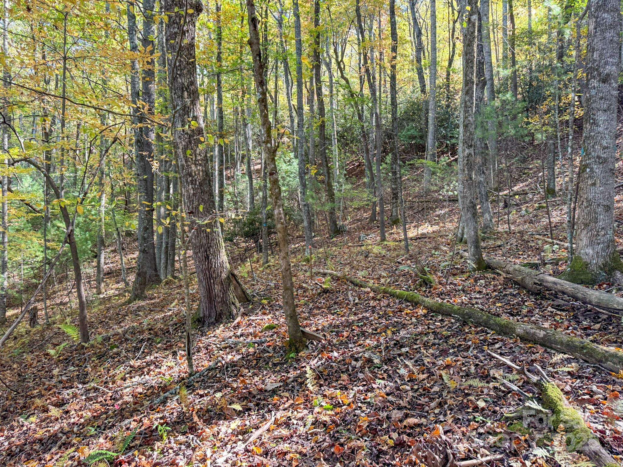 345 Christa LN, Arden, NC 28704