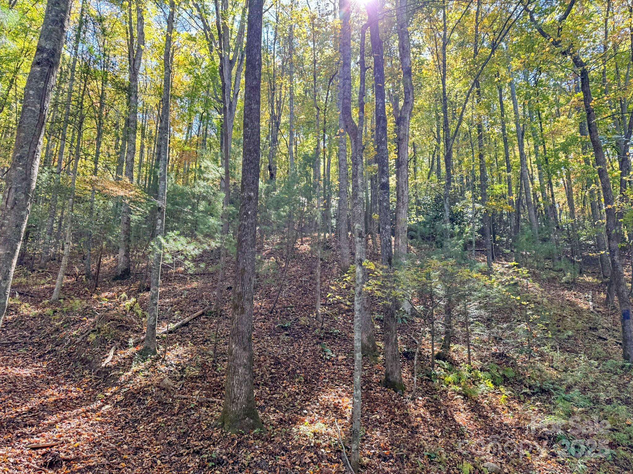 345 Christa LN, Arden, NC 28704