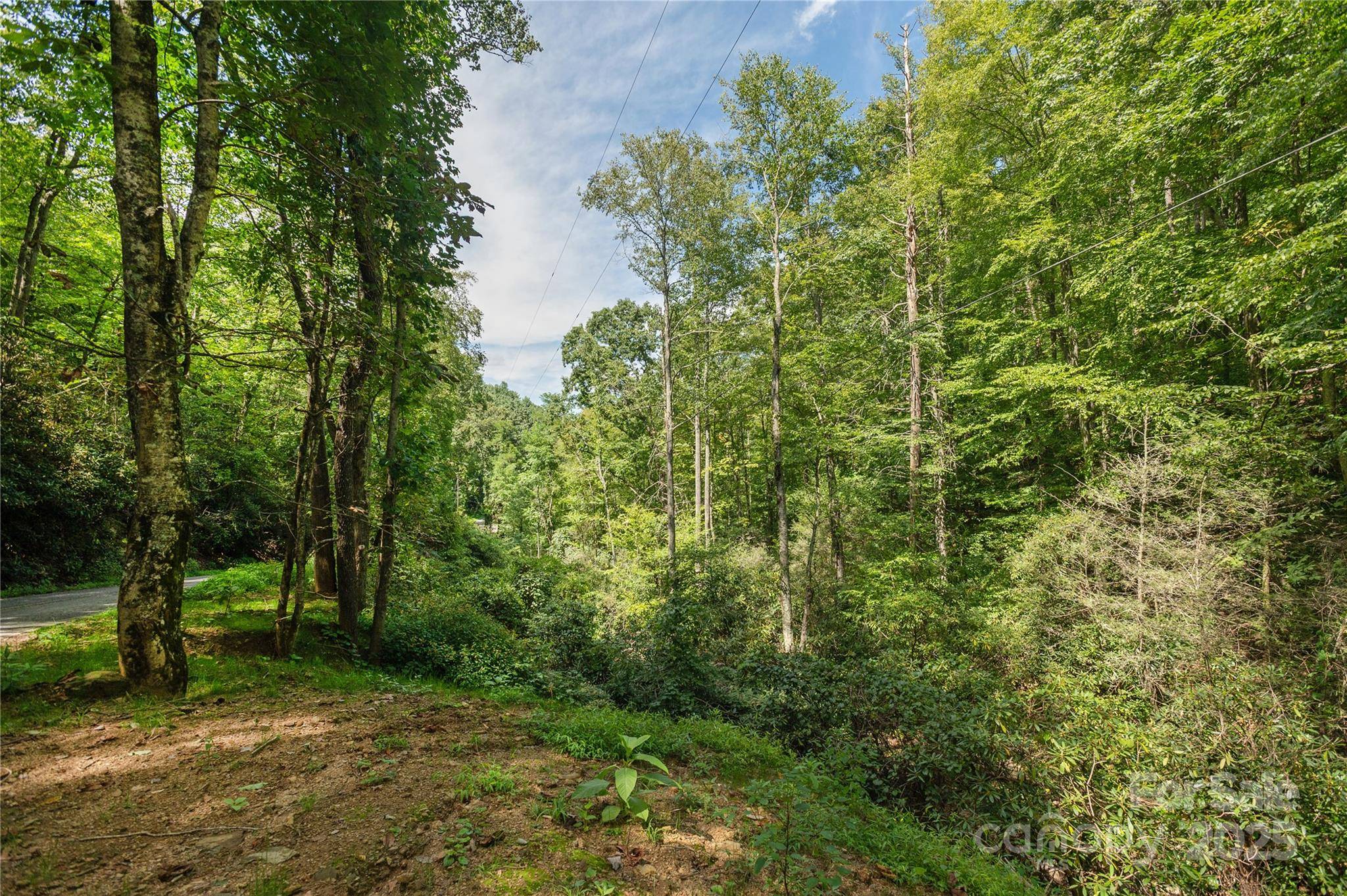 99999 Christian Creek RD, Swannanoa, NC 28778