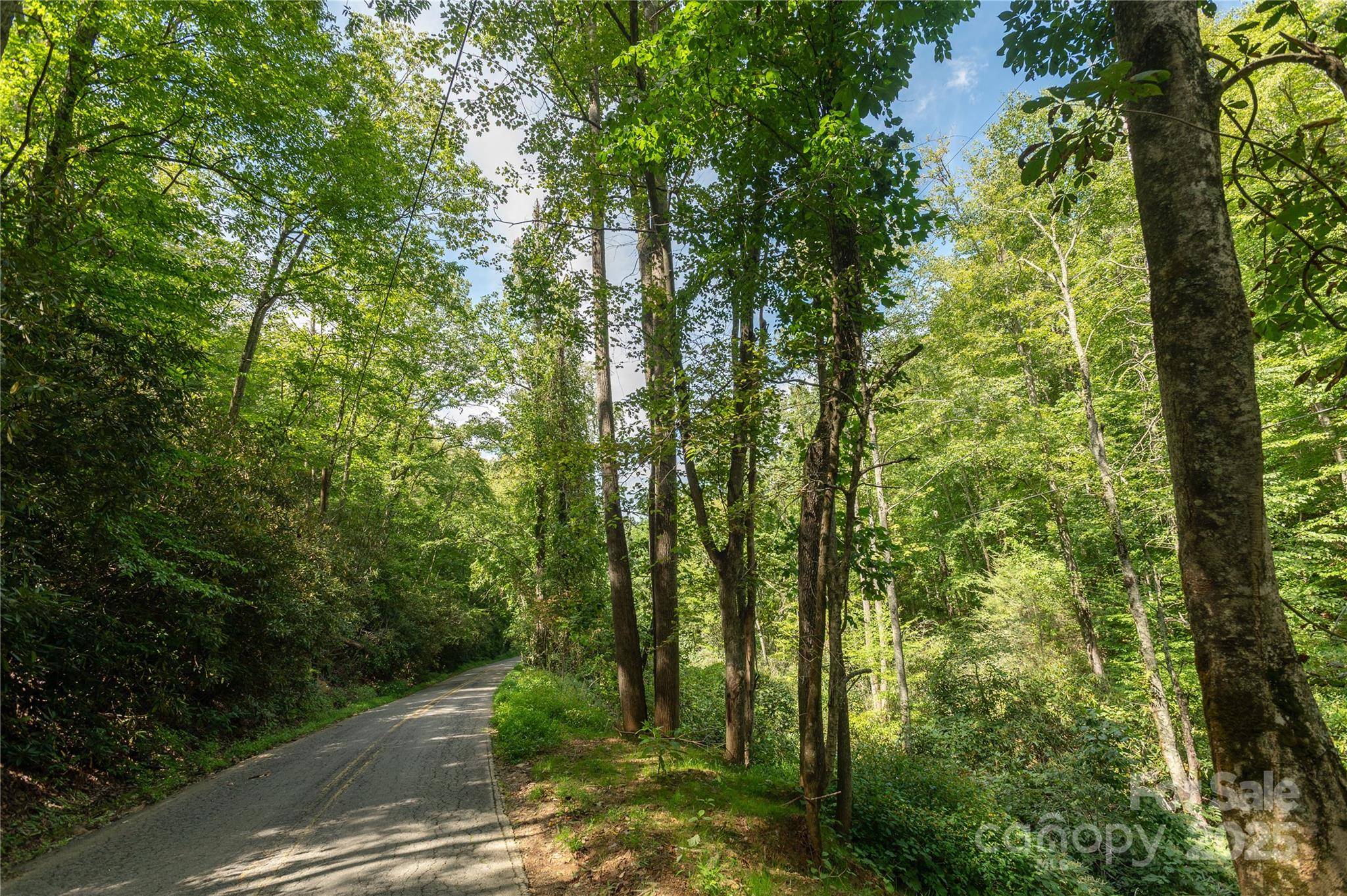 99999 Christian Creek RD, Swannanoa, NC 28778