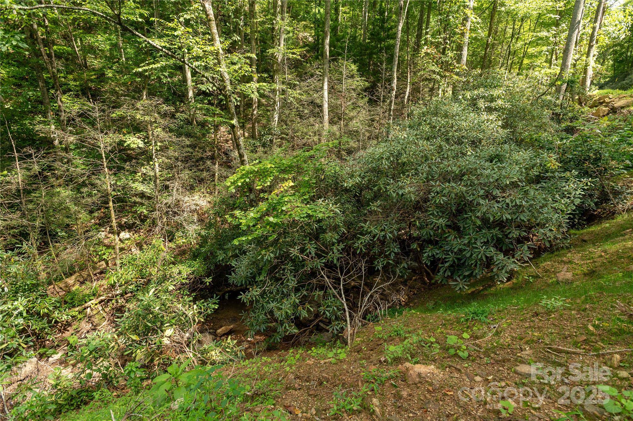 99999 Christian Creek RD, Swannanoa, NC 28778