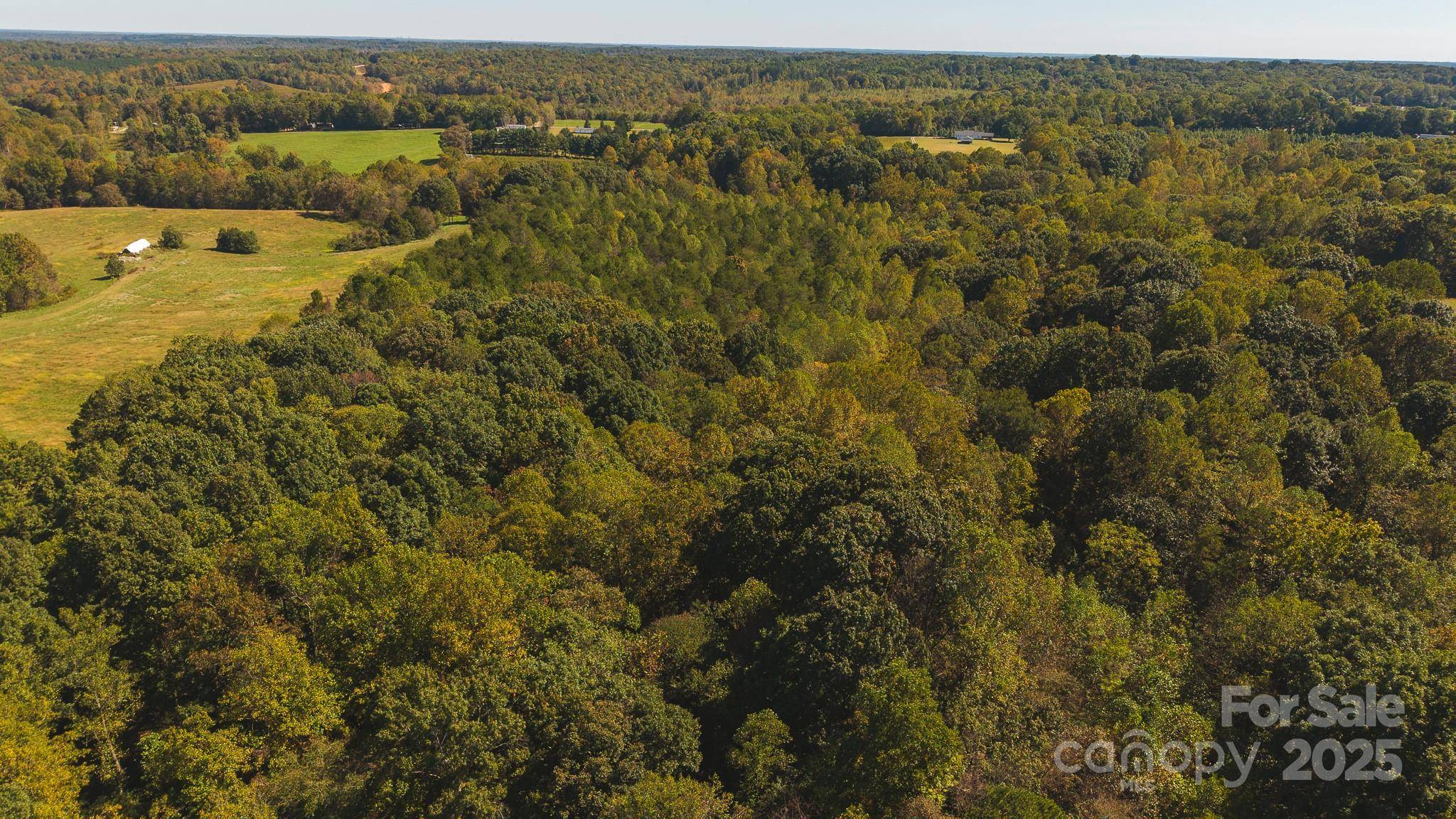 TBD US Highway 21 HWY, Hamptonville, NC 27020