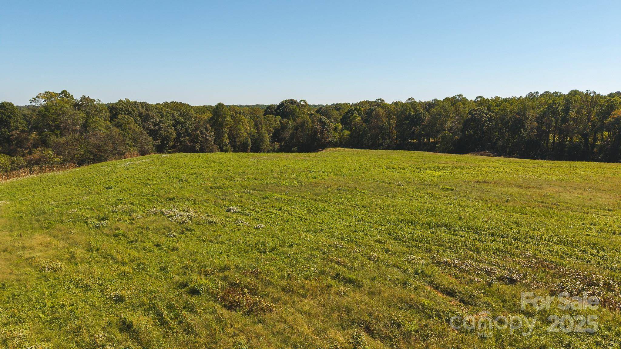 TBD US Highway 21 HWY, Hamptonville, NC 27020