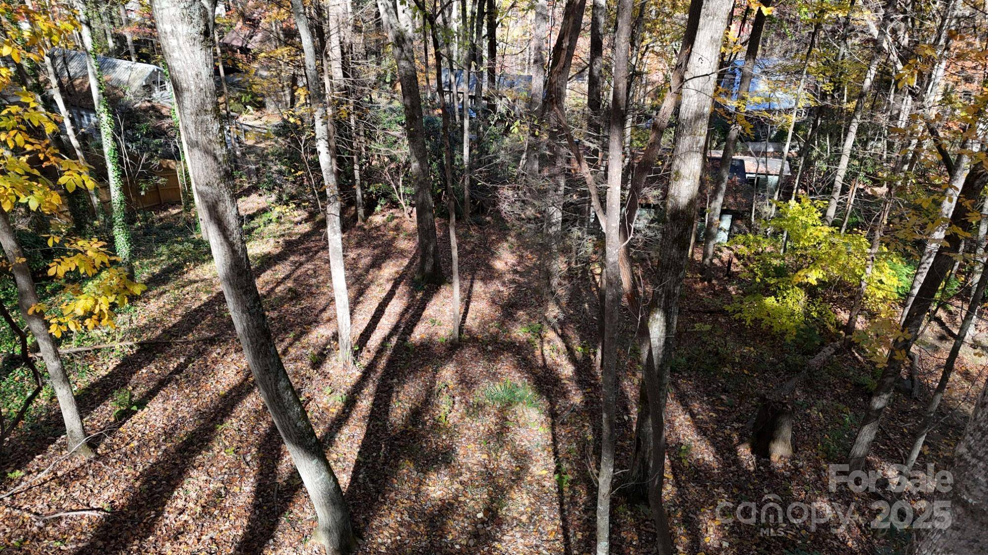 Lot C31 Shady LN, Maggie Valley, NC 28751