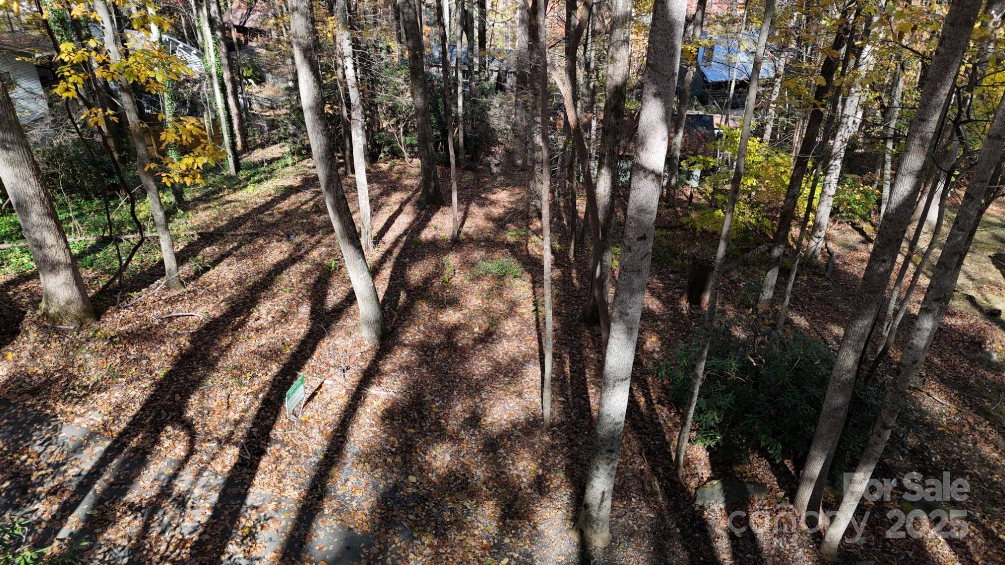 Lot C31 Shady LN, Maggie Valley, NC 28751