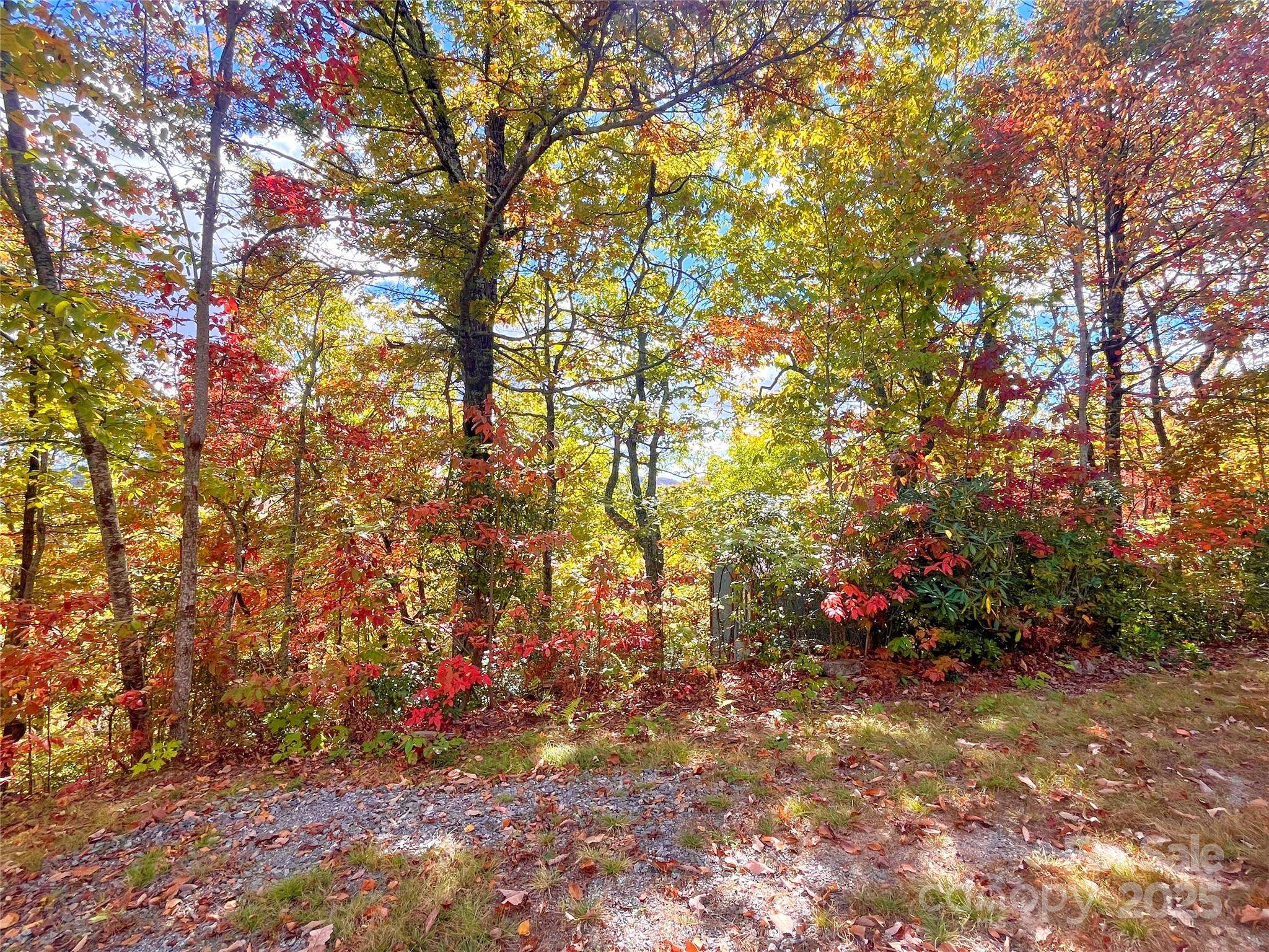 57 Grouse Ridge DR, Black Mountain, NC 28711