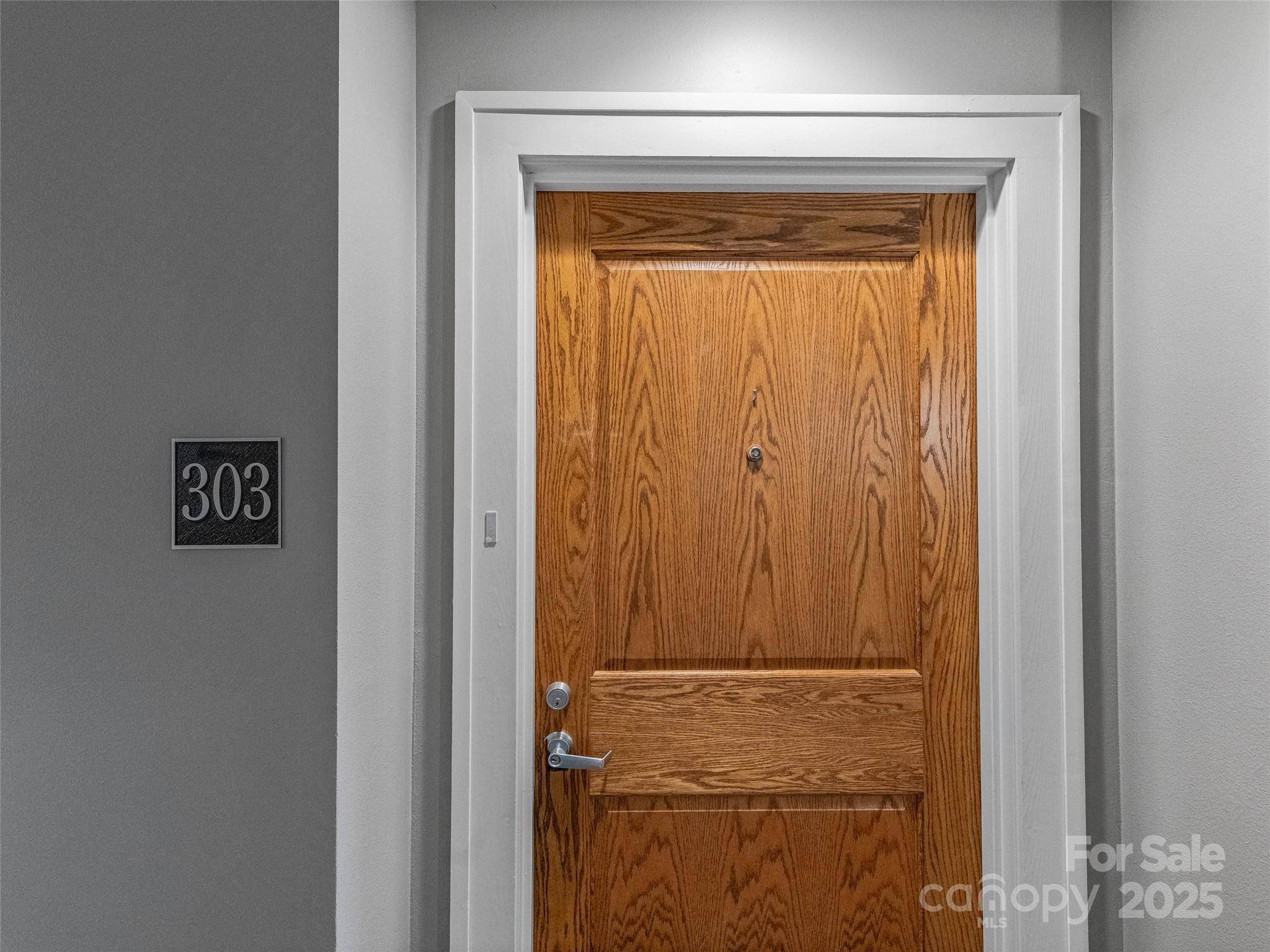 84 W Walnut ST #303, Asheville, NC 28801