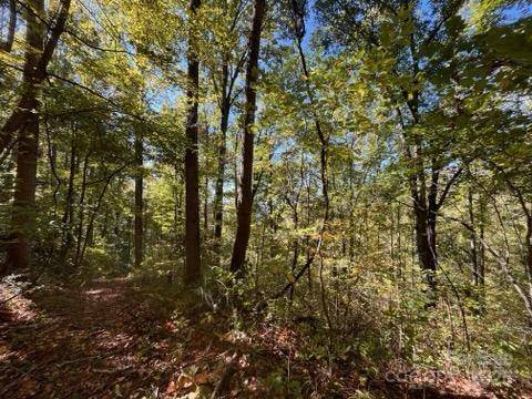 99999 Moody Cove RD, Weaverville, NC 28787