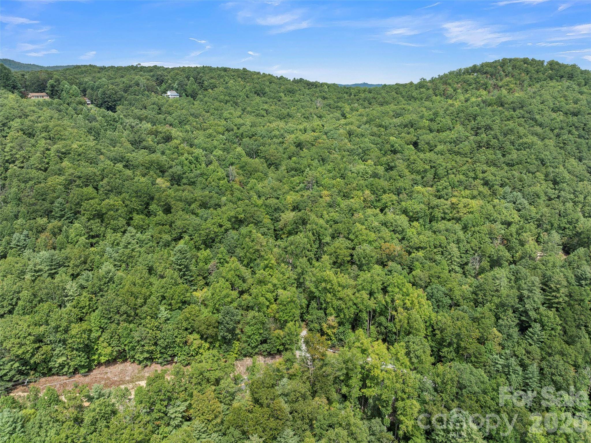 812 Crab Creek RD, Hendersonville, NC 28739