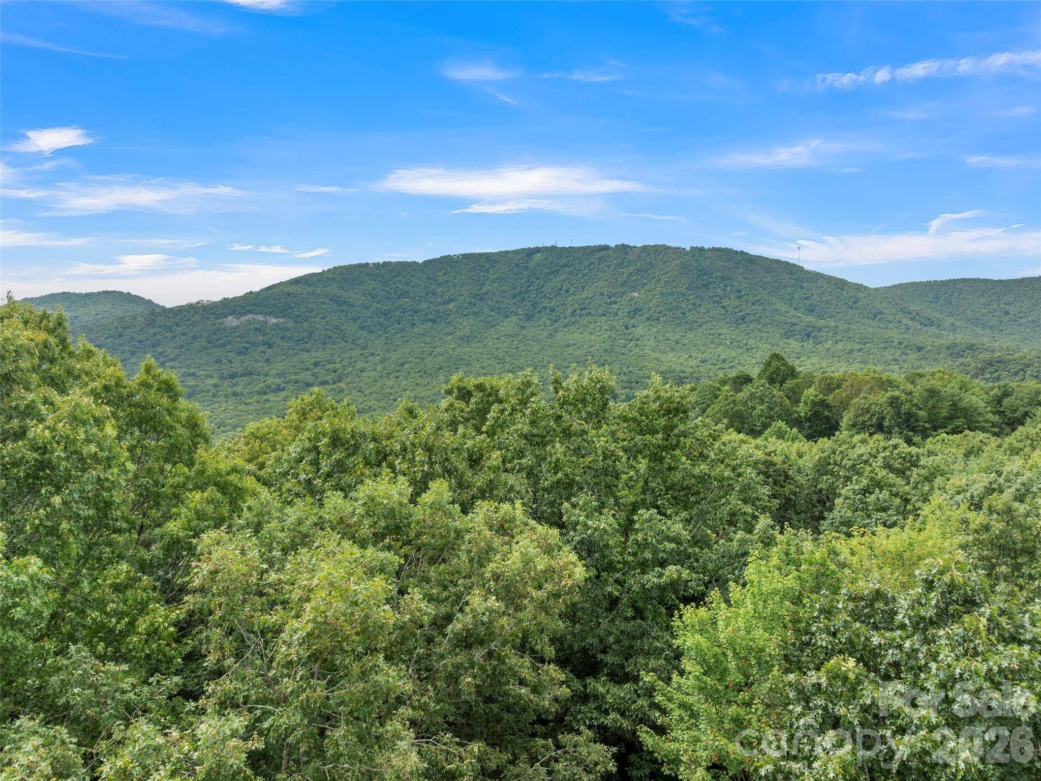 812 Crab Creek RD, Hendersonville, NC 28739