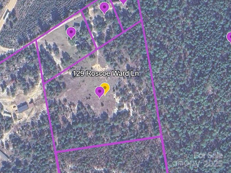 129 Roscoe LN, Patrick, SC 29584