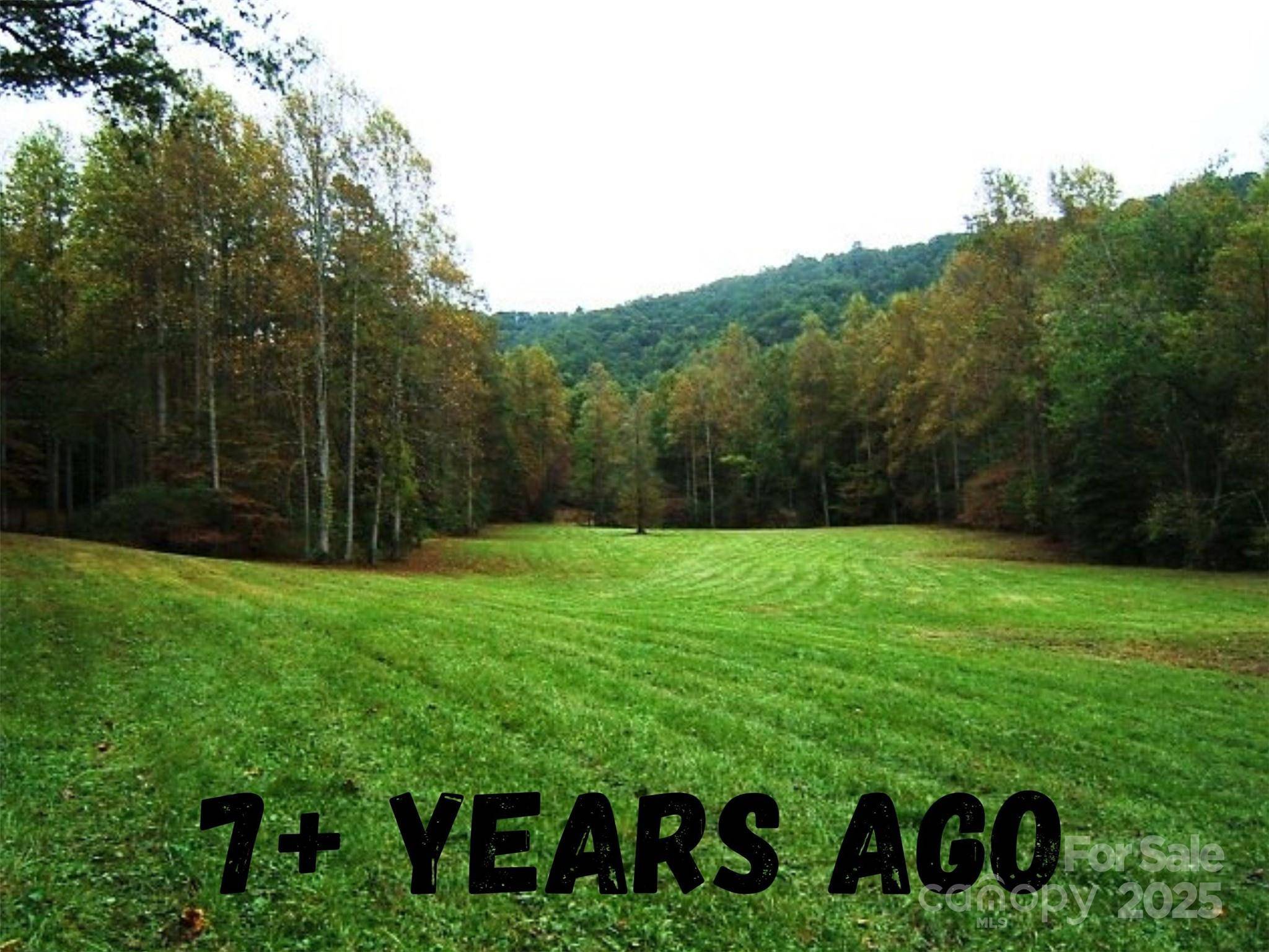 8361 Old Fort Sugar Hill RD, Marion, NC 28752
