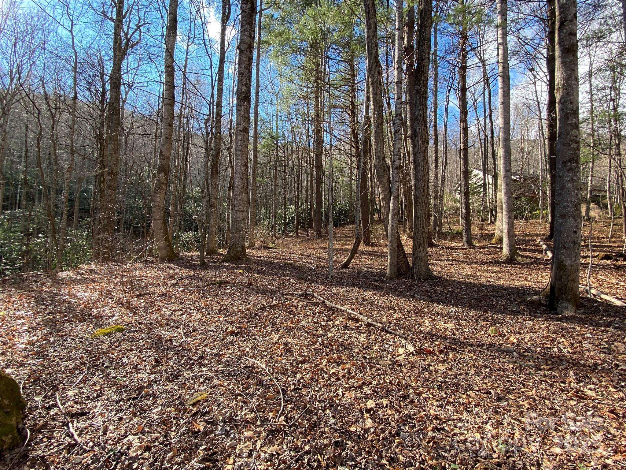 12 Laurel Branch DR, Black Mountain, NC 28711