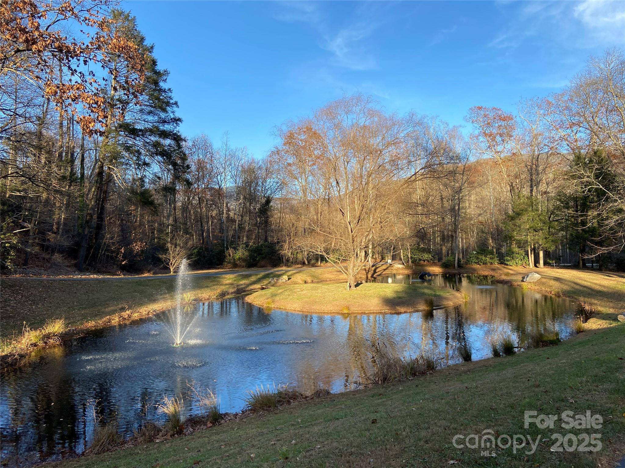 12 Laurel Branch DR, Black Mountain, NC 28711