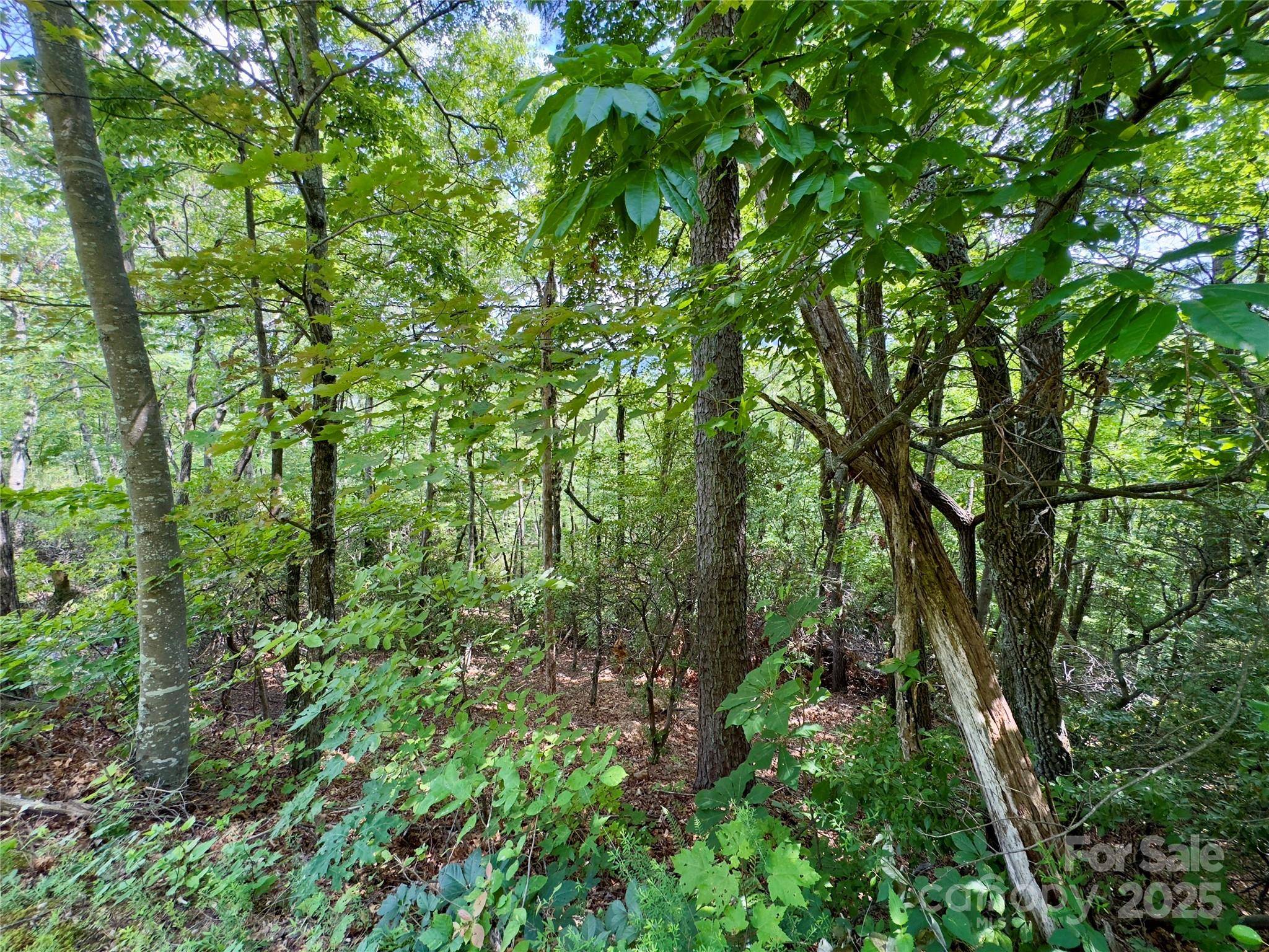 94 Galax DR #T-44, Black Mountain, NC 28711
