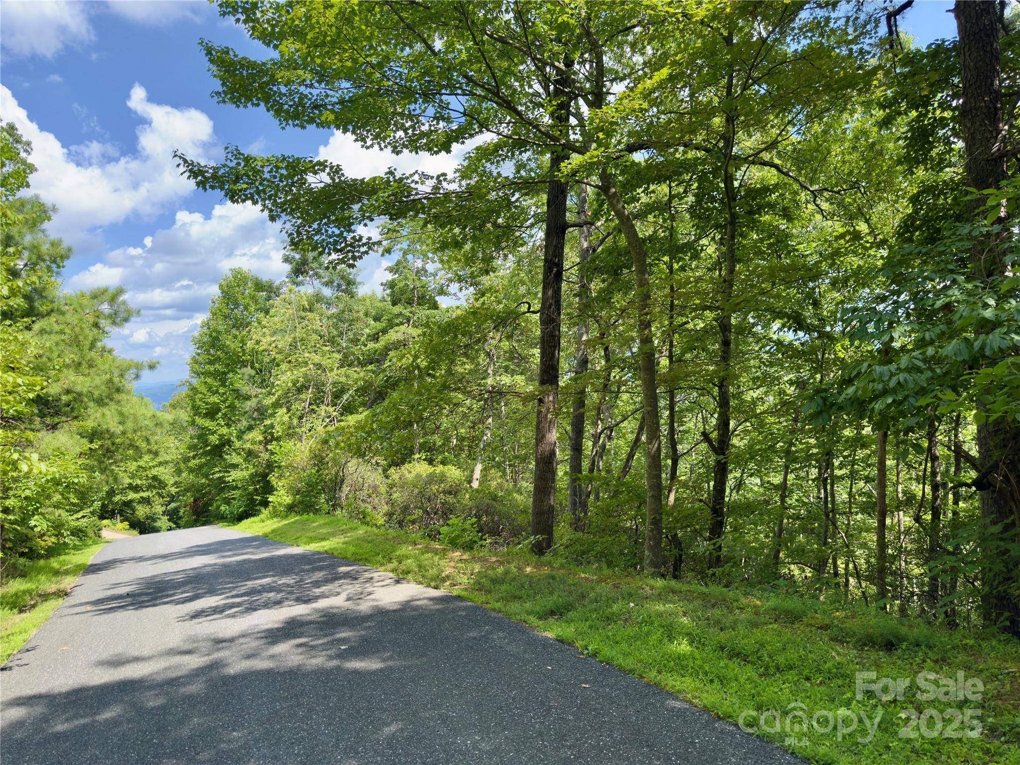 94 Galax DR #T-44, Black Mountain, NC 28711