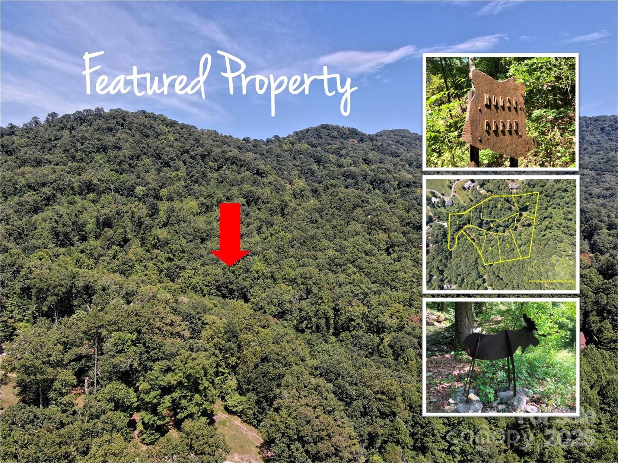 Lots 1-8 Erwin LN, Waynesville, NC 28785