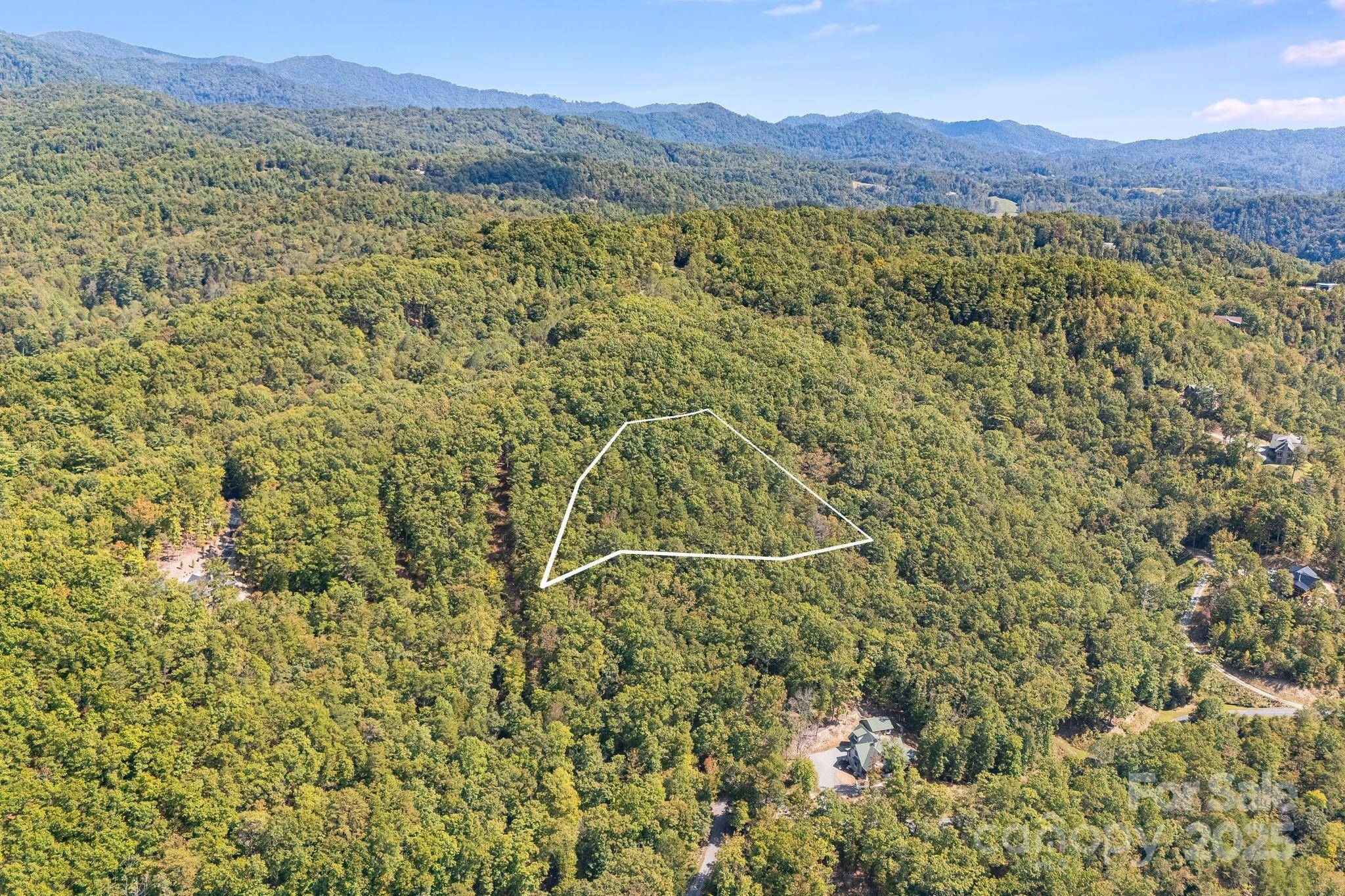 111 Wild Turkey LOOP, Marshall, NC 28753