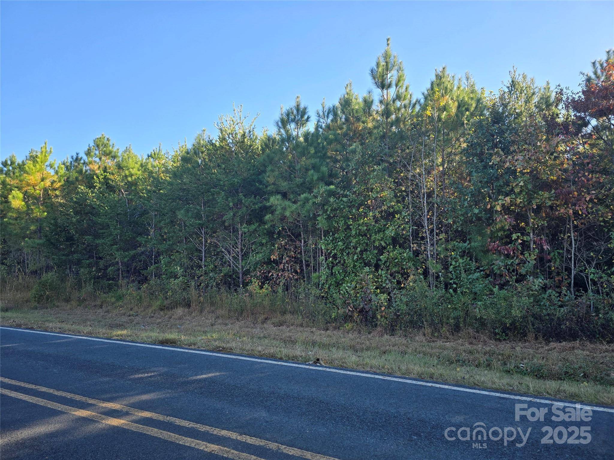 0 Moss LN, New London, NC 28127