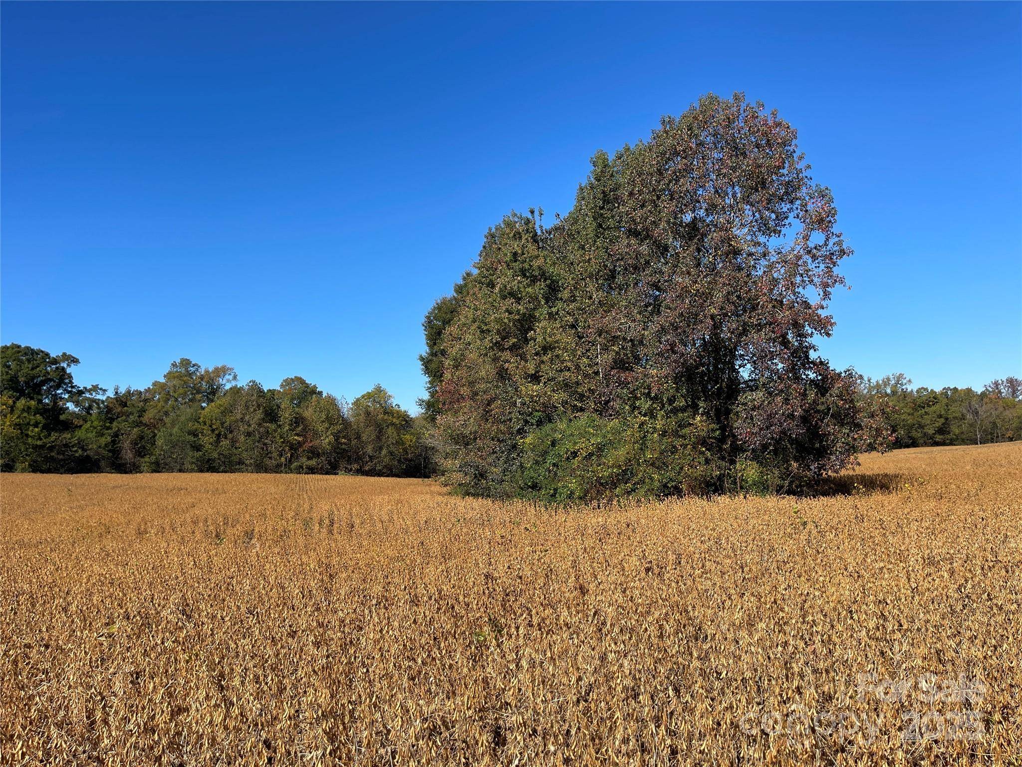 VAC Highway 52 S HWY, Norwood, NC 28128