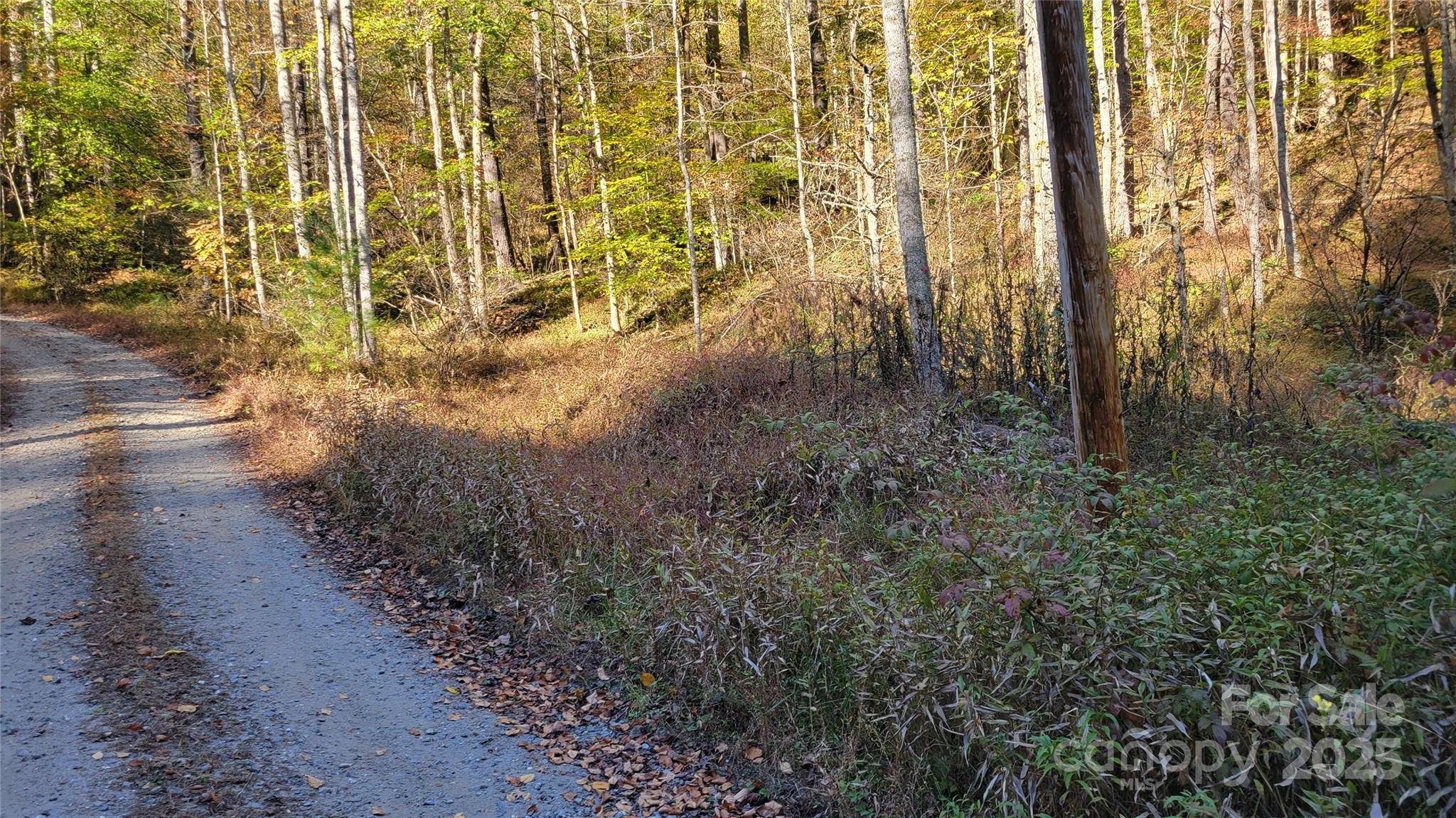 000 Cabin Hill RD, Green Mountain, NC 28740