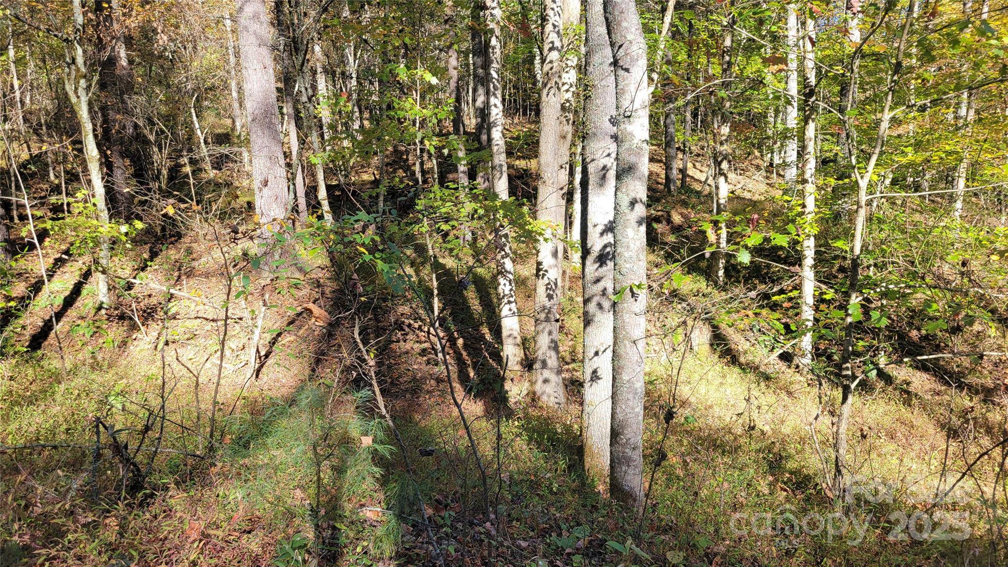 000 Cabin Hill RD, Green Mountain, NC 28740