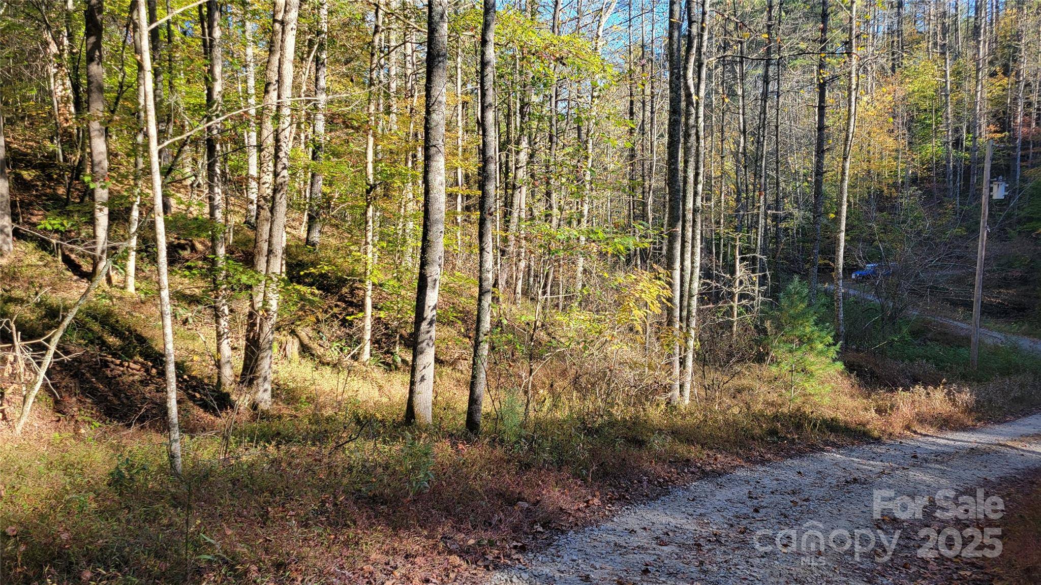 000 Cabin Hill RD, Green Mountain, NC 28740
