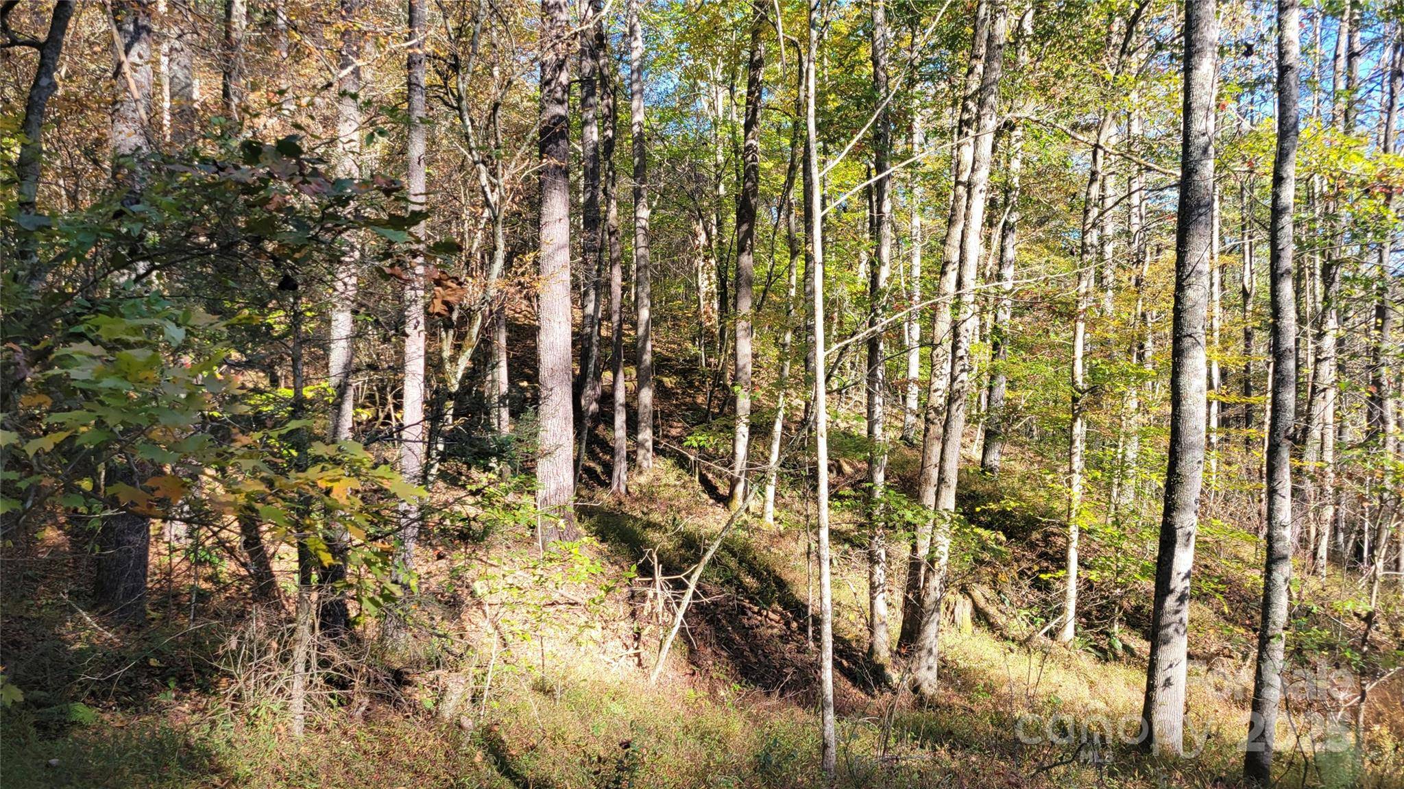 000 Cabin Hill RD, Green Mountain, NC 28740