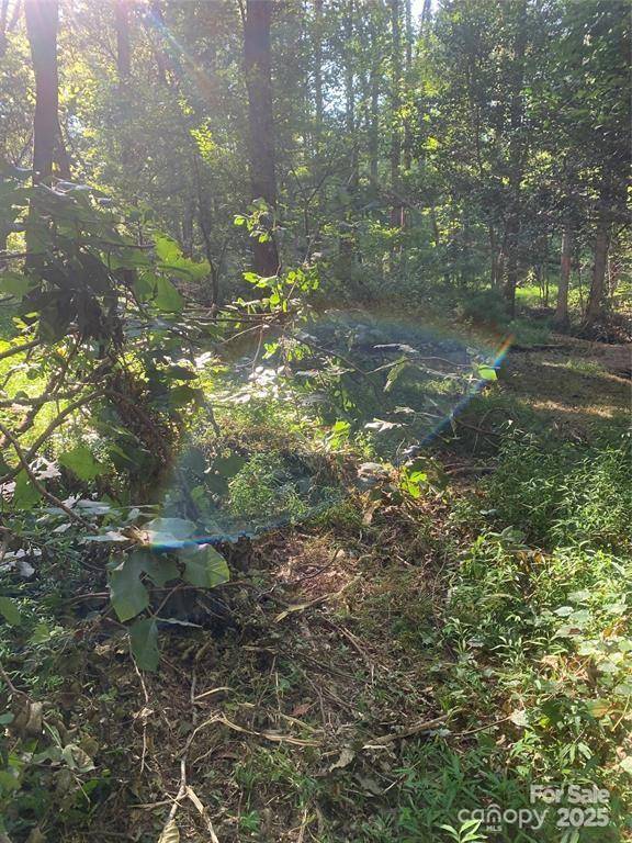 442 E Settings BLVD NW #248, Morganton, NC 28655