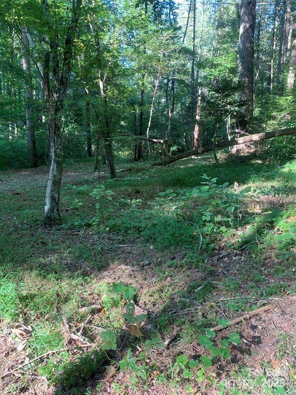 442 E Settings BLVD NW #248, Morganton, NC 28655
