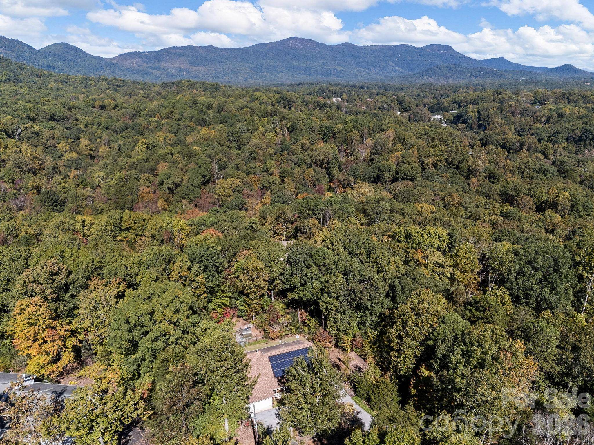 160 Caledonia RD, Landrum, SC 29356