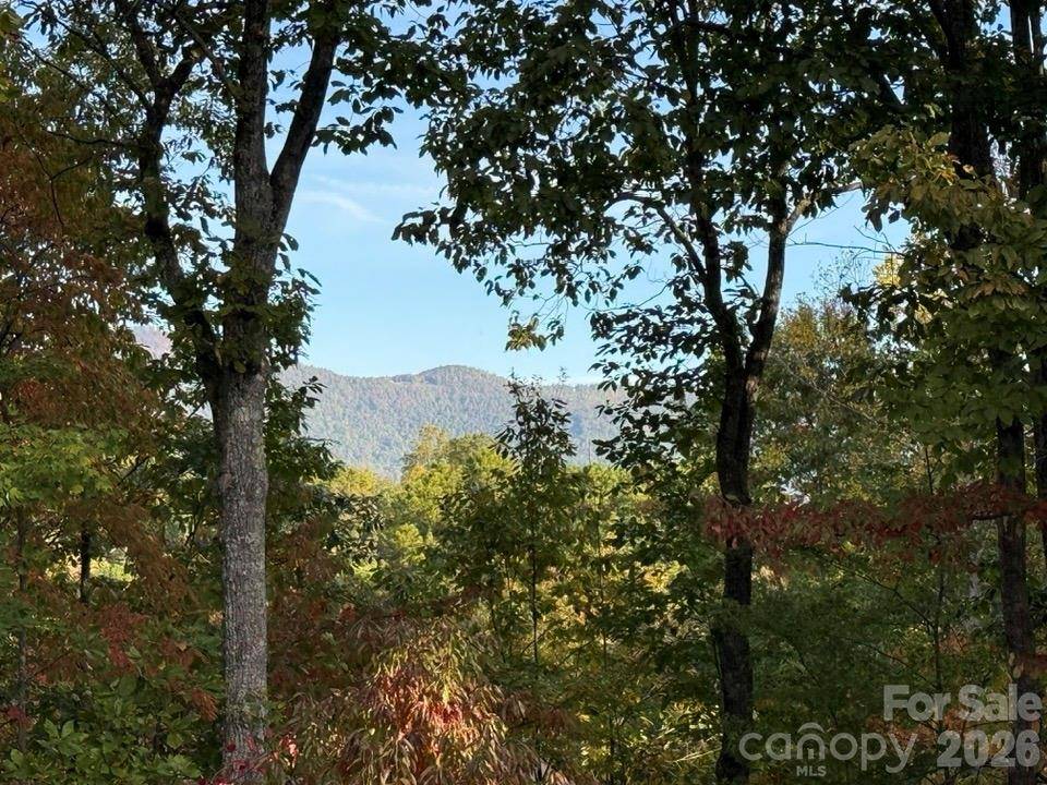 160 Caledonia RD, Landrum, SC 29356